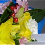 Baita Regina